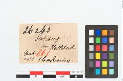 Etikett zu Bernsteinringperle (NHMW-PRAE-026263)